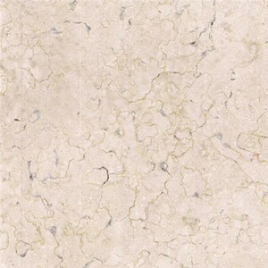 Galala limestone