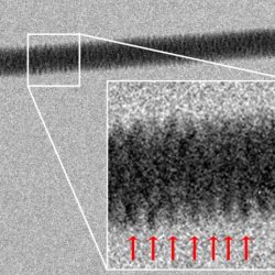 DNA molecule, electron microscope photograph